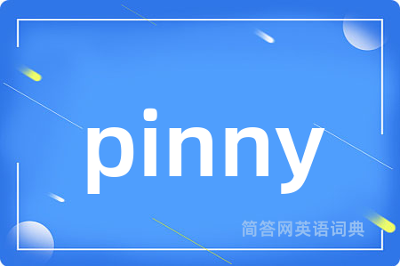 pinny