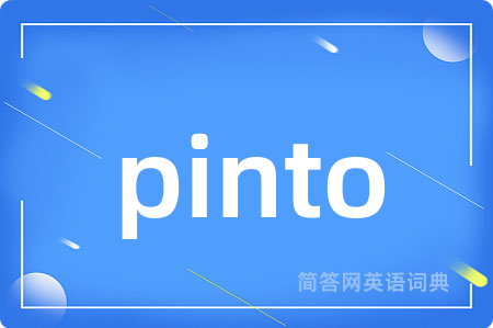 pinto是什么意思,pinto的中文翻译 pinto