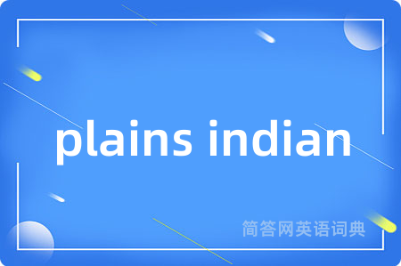 plains indian