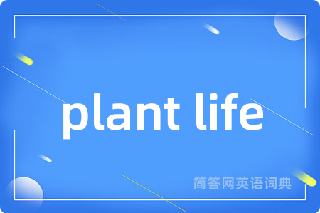 plant life