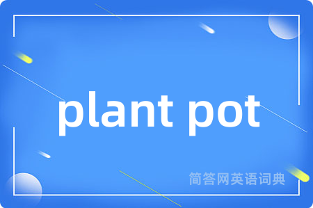 plant pot