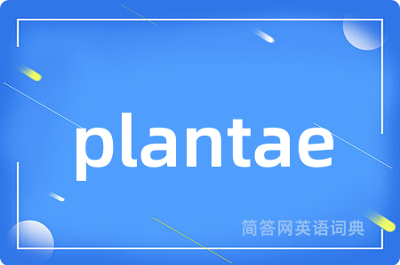 plantae