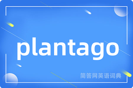 plantago是什么意思,plantago的中文翻译 plantago
