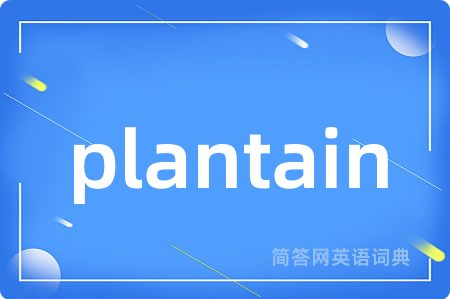 plantain