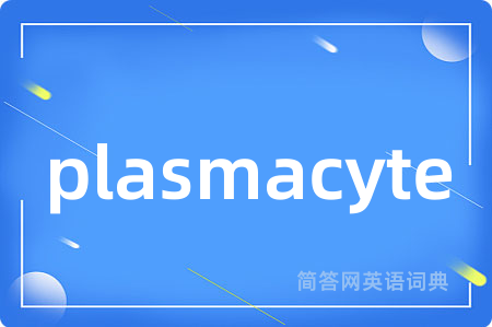 plasmacyte