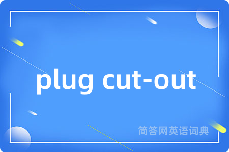plug cut-out
