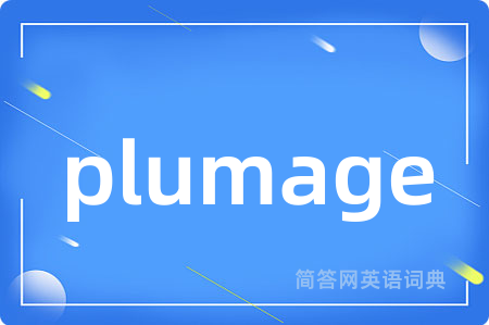 plumage是什么意思,plumage的中文翻译 plumage