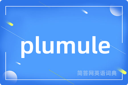 plumule