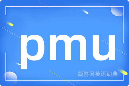 pmu是什么意思,pmu的中文翻译 pmu