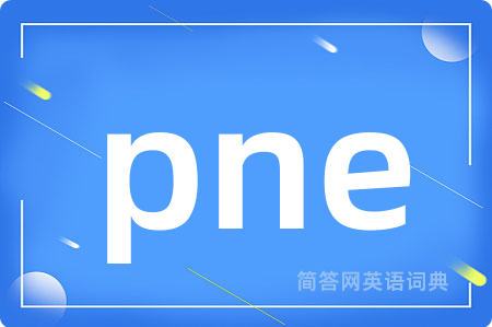 pne是什么意思,pne的中文翻译 pne