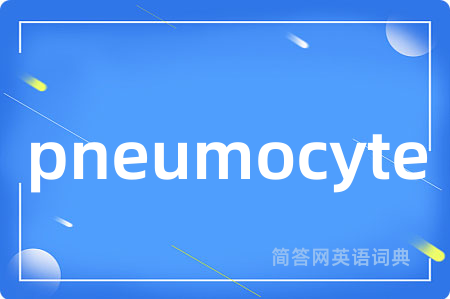 pneumocyte