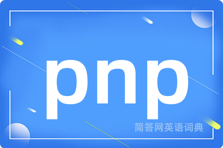 pnp是什么意思,pnp的中文翻译 pnp