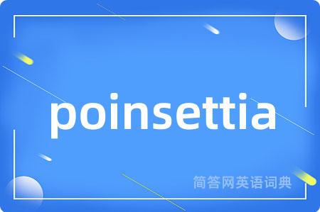 poinsettia