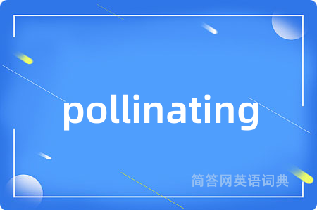pollinating