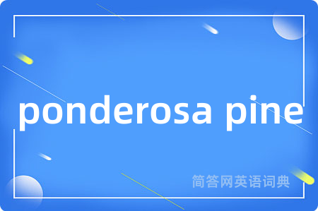 ponderosa pine