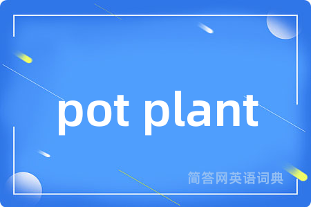 pot plant