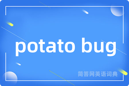 potato bug