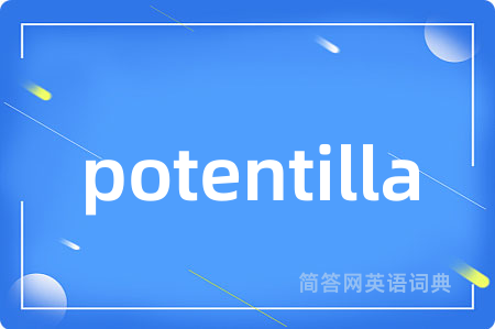 potentilla