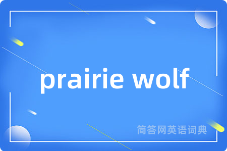 prairie wolf