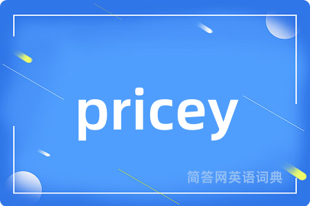 pricey是什么意思,pricey的中文翻译 pricey