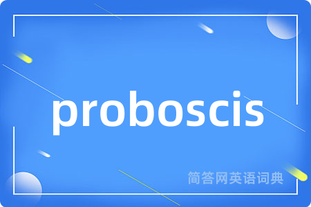 proboscis