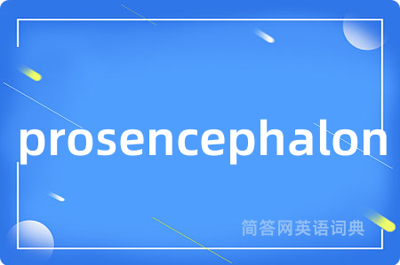 prosencephalon