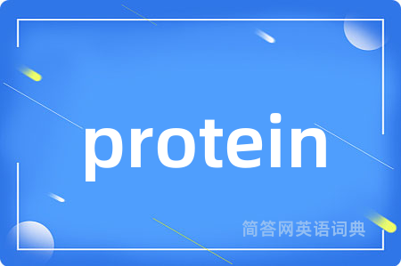 protein
