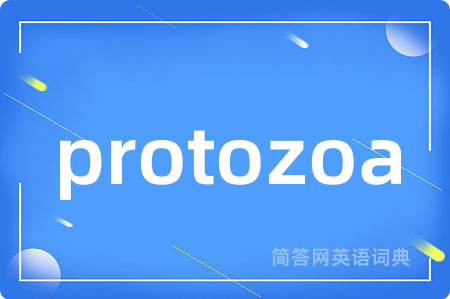 protozoa是什么意思,protozoa的中文翻译 protozoa