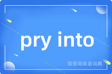 pry into