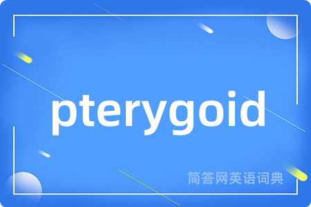 pterygoid是什么意思,pterygoid的中文翻译 pterygoid