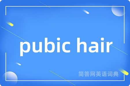 pubic hair