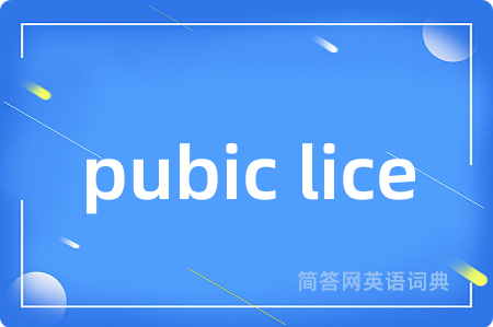 pubic lice