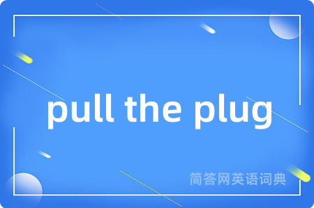 pull the plug