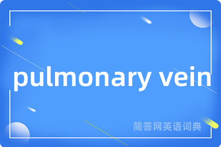 pulmonary vein是什么意思,pulmonary vein的中文翻译 pulmonary vein