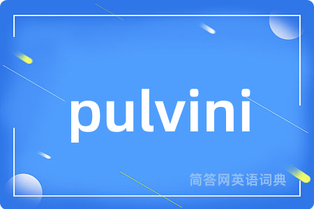 pulvini