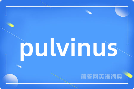 pulvinus