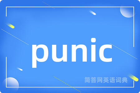 punic是什么意思,punic的中文翻译 punic
