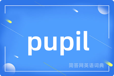 pupil