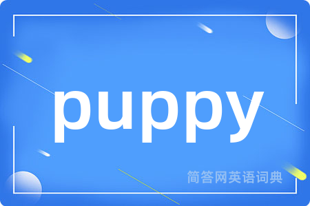 puppy