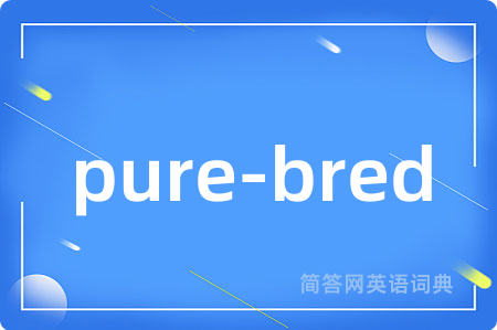 pure-bred是什么意思,pure-bred的中文翻译 pure-bred
