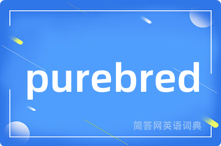 purebred是什么意思,purebred的中文翻译 purebred