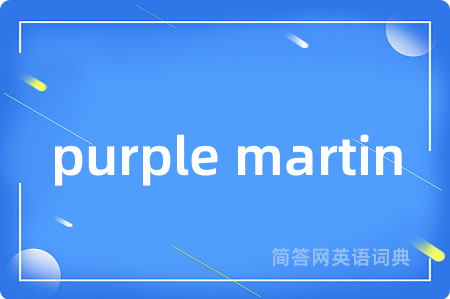 purple martin