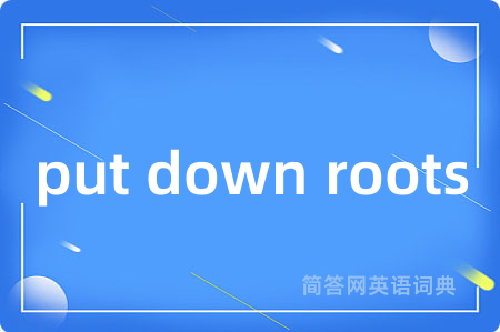 put down roots