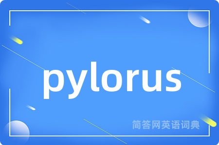 pylorus