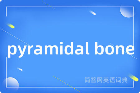 pyramidal bone