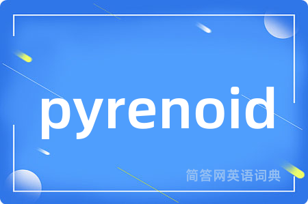 pyrenoid