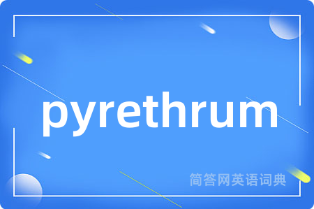 pyrethrum