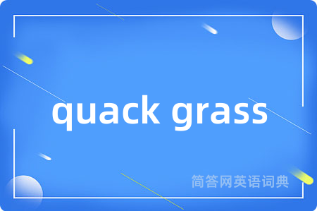 quack grass