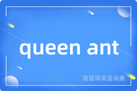 queen ant