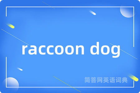 raccoon dog